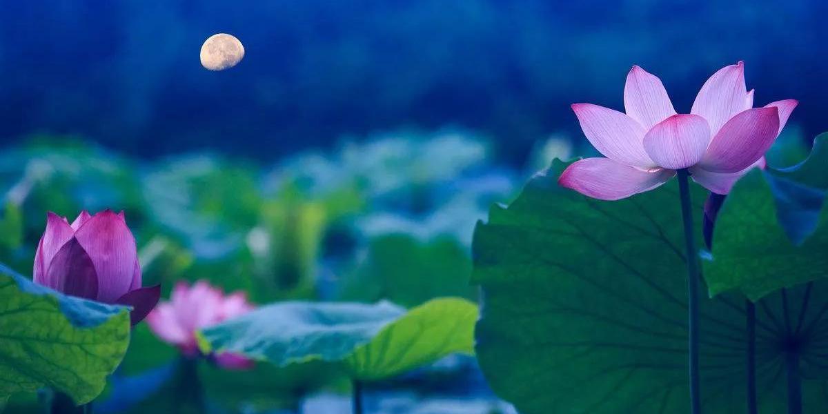 风水十字绣：能够提升运势的六幅十字绣