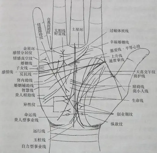 麻衣神相中的掌纹怎么看啊？