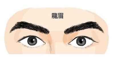 面相中关于不同的眉形特征（二）