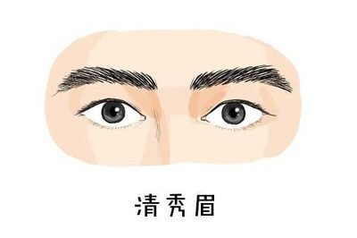 面相中关于不同的眉形特征（三）