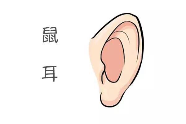 富贵的耳朵长什么样，大富大贵的耳相