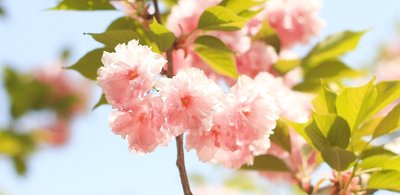 春天出生的牛宝宝怎么起名对孩子好？