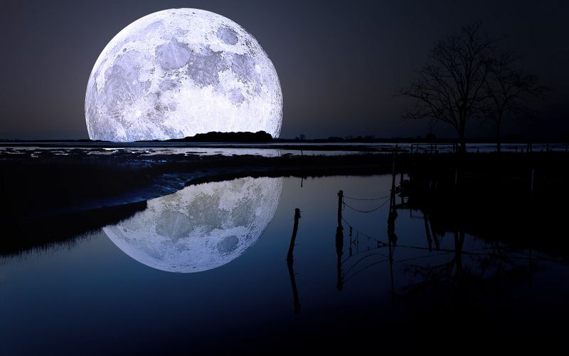 夜晚出生牛宝宝起什么名字孩子有个好运势
