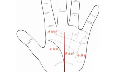 通过手相看贵人运，这几招你学会了吗？