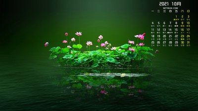 十二生肖十月运势分析（四）